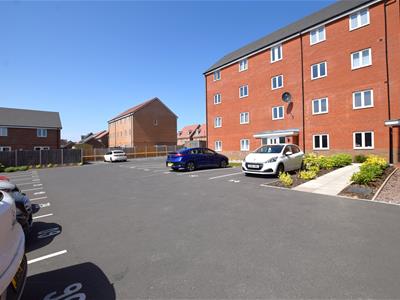Picture 12